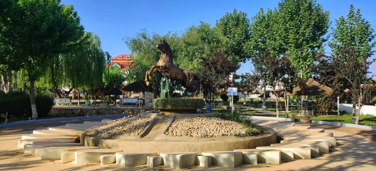 Le Vallon Vert - Club Equestre 아즈루 외부 사진