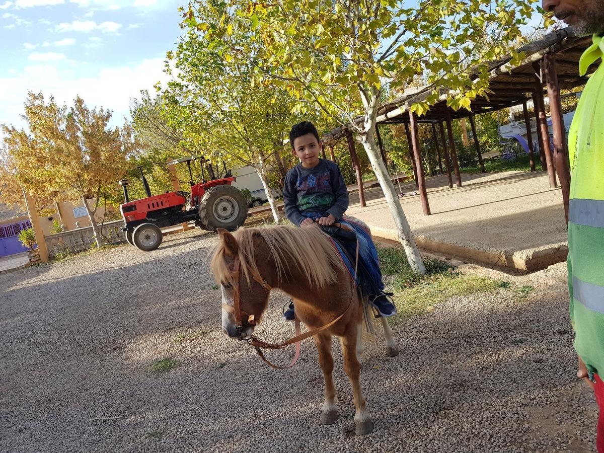 Le Vallon Vert - Club Equestre 아즈루 외부 사진